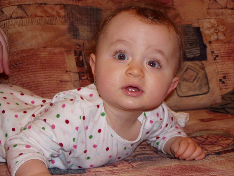 PB080012.jpg