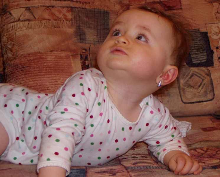 PB080013.jpg