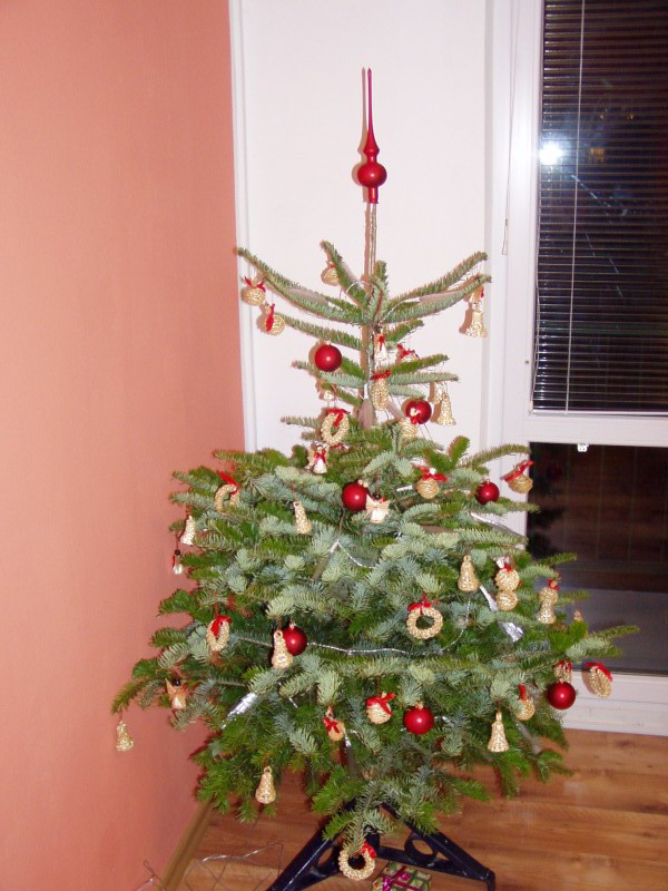PC240012.jpg