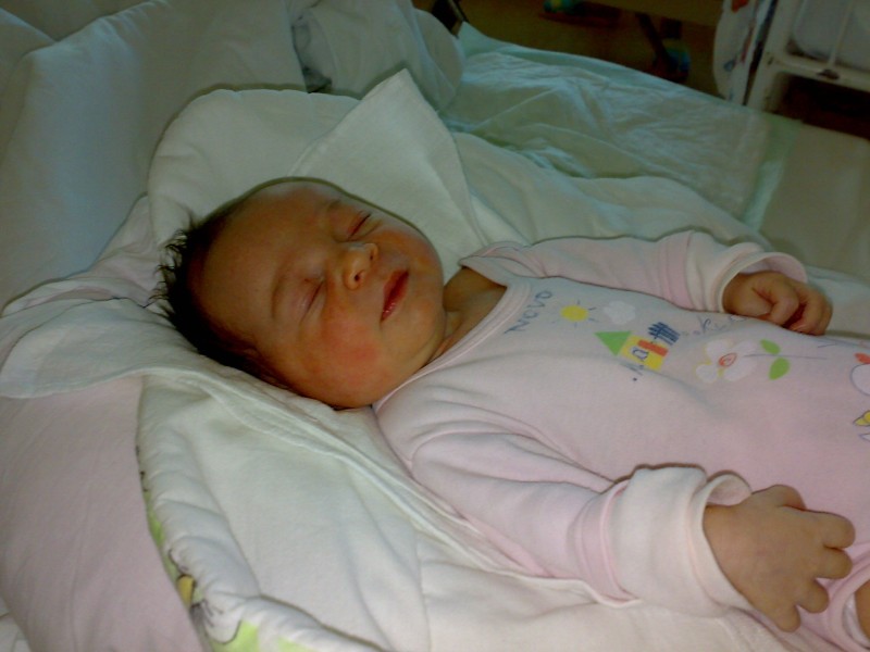 09022009458.jpg