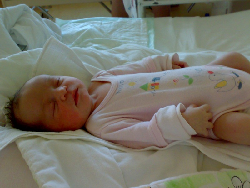 09022009460.jpg