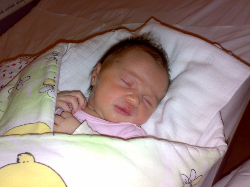 10022009462.jpg