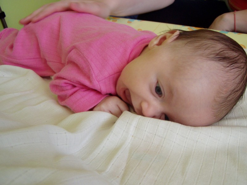 P4120009.jpg